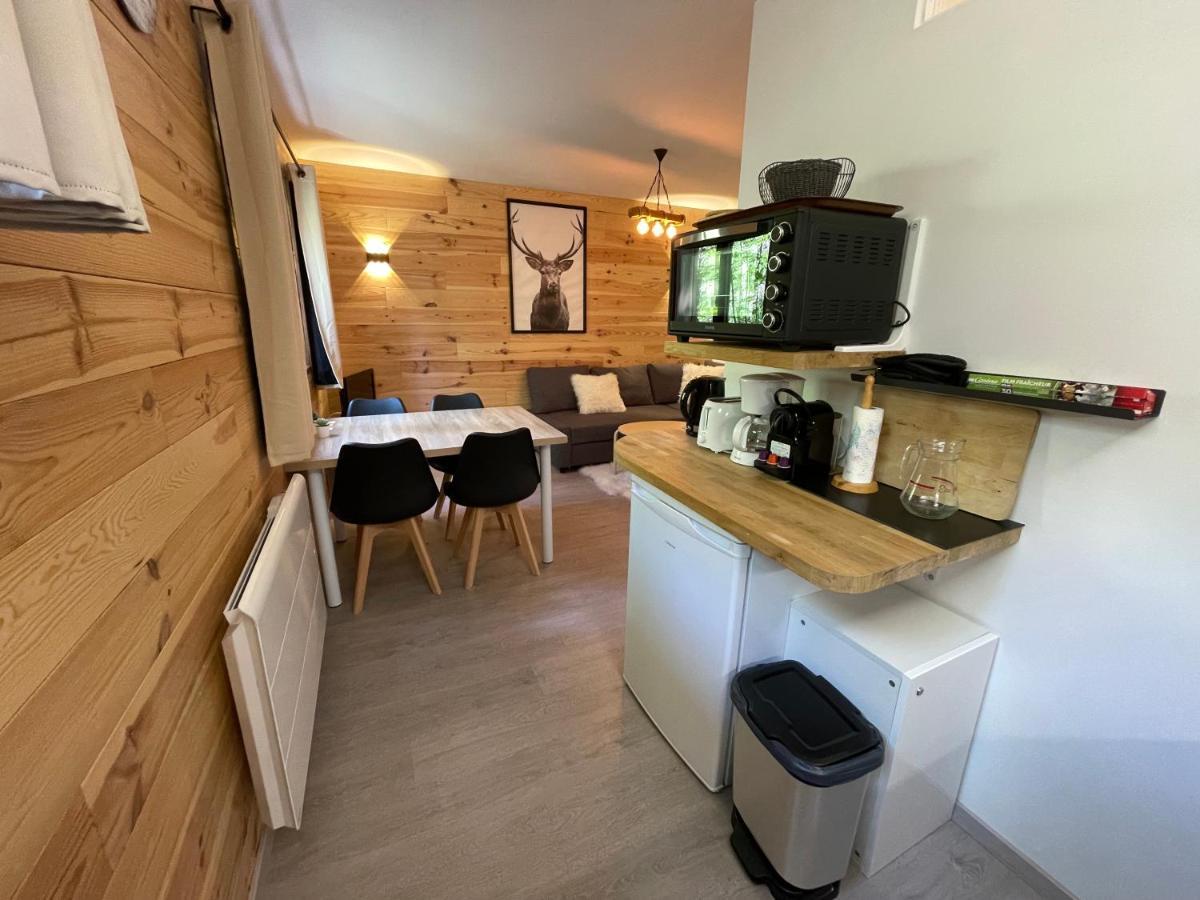 Cosy Appartement Au Calme A Deux Pas Du Centre Auron Zewnętrze zdjęcie