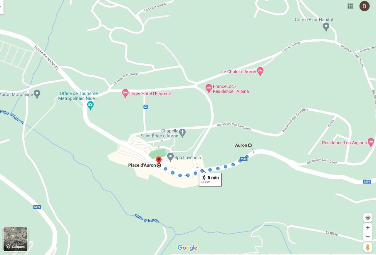 Cosy Appartement Au Calme A Deux Pas Du Centre Auron Zewnętrze zdjęcie